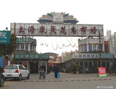 上海花鸟市场大全 上海岚灵花鸟市场