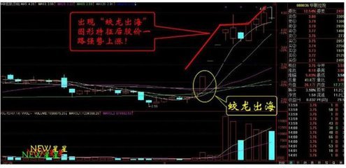 K线识别庄家的蛟龙出海 k线识别高低位