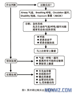 麻醉中的过敏反应和类过敏反应 过敏反应的类型