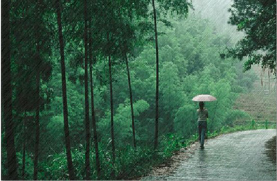 雨中的思念 雨中思念爱人的散文