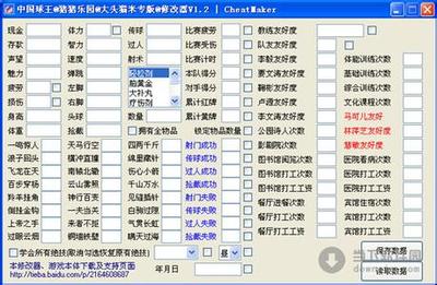 〈中国球王》攻略4 中国球王修改器