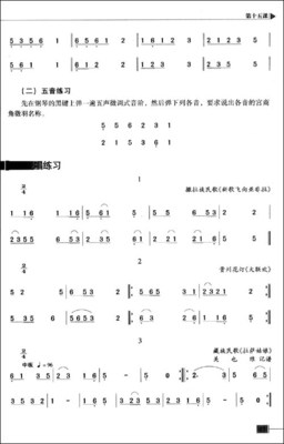 高师《乐理与视唱练耳》教学设计的理论与方法 乐理视唱练耳考级教程