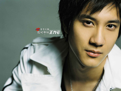 lee-hom wang lee hom