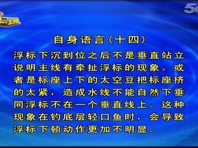 浮标语言和用标方法（程宁-浮标篇解析） 浮标的语言