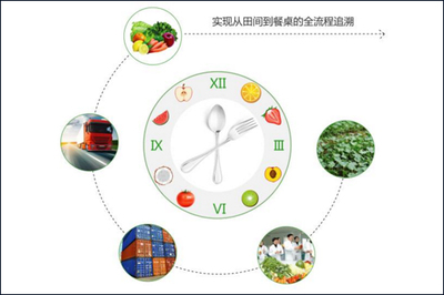 教学设计：信息安全问题及防范策略