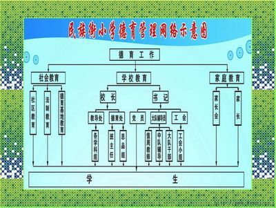 小学德育常规管理案例 德育常规管理意义