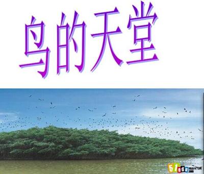 冀教四年级语文教案教学设计《水乡行》 四年级语文教案