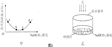 绿植增强能量的方法 如何增强生命的能量