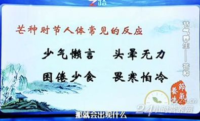 20130605cctv10健康之路《罗增刚讲芒种养生,益气升阳,西洋参》 芒种计划