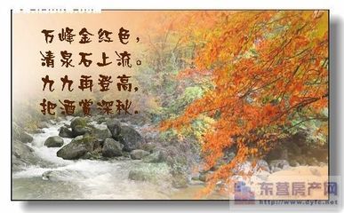 菊花 古诗文大全 祝福 古诗文大全