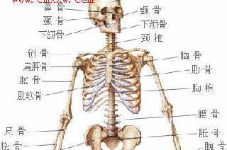 视频 正骨整脊【疼痛速疗网】 中医整脊正骨手法视频