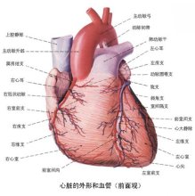 心绞痛是由什么原因引起的？ 心绞痛的原因