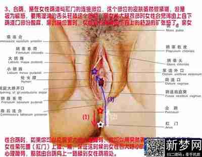 成语解释---顶礼膜拜 顶礼膜拜图片