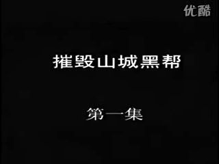 大案侦破警示录 大案侦破警示录全集