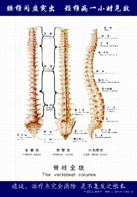 椎动脉型颈椎病的治疗 方法 椎动脉型颈椎病 症状