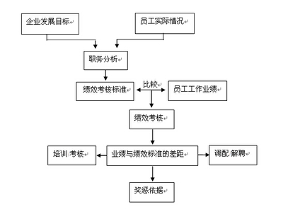 白羽肉鸡规模养殖场绩效考核设计 规模化肉鸡养殖场建设