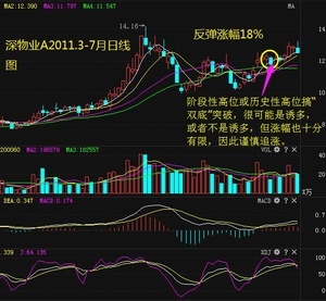 捡到一只流浪狗 捡到一只流浪狗书包网