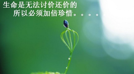 生命 感叹生命脆弱的句子