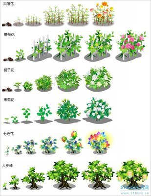 信息技术教学案例:　跳动的图片--成长的历程 成长的历程