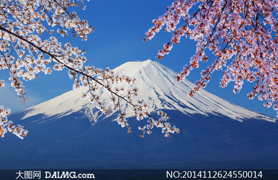 富士山下歌词解读 富士山下歌词谐音