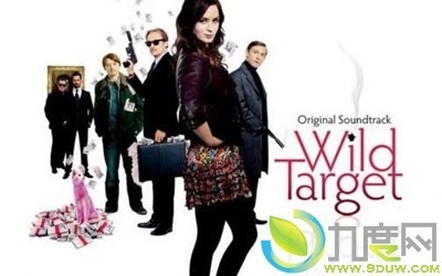 这个杀手好怕丑（Wild Target ）【英、法犯罪片】 wild target