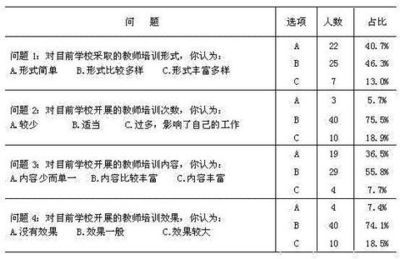 教师专业发展状况调研报告 道路交通状况调研报告