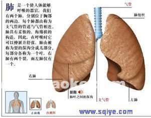 支气管扩张吃什么消炎药有效 支气管扩张吃什么中药