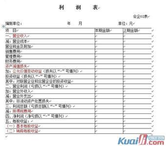 财务报表附注（新会计准则） 财务会计报表附注