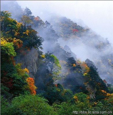 东拉山大峡谷看红叶、神木垒徒步穿越露营计划 东拉山 神木垒 周公山