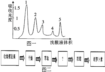 蜜蜂是一种群居的益虫，蜜蜂的筑巢、采粉酿蜜等行为以及“语言” 蜜蜂怎么酿蜜