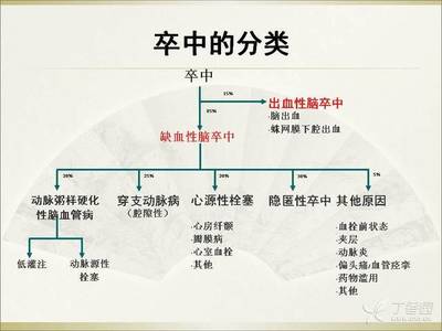 脑卒中分类 脑卒中基本分类