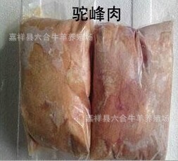 骆驼肉可以吃呢 皮肤病可以吃骆驼肉吗