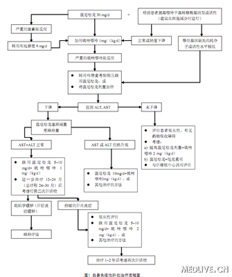 自身免疫性肝炎 自身免疫性肝炎寿命