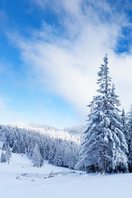 雪景壁纸 手机壁纸图片