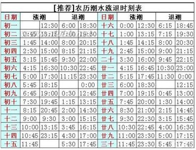 大海潮水时间计算方法和大海游泳事项 大海游泳