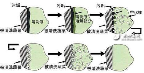 [2009-41期]超声波怎样洗菜(图) 2009 02 296041鸽