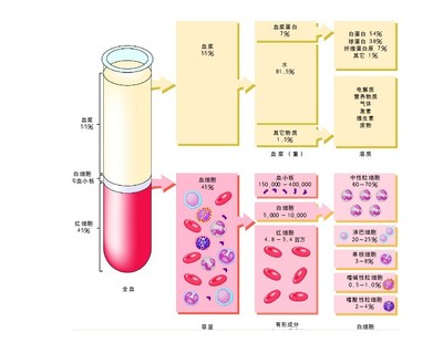 撇脂定价策略和渗透定价策略？ 撇脂定价 渗透定价