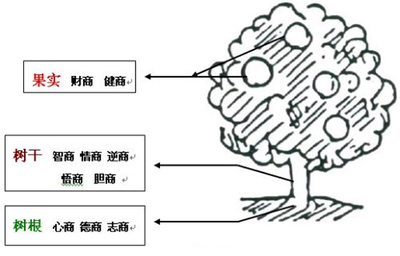 情商测试测试题 情商智商测试题