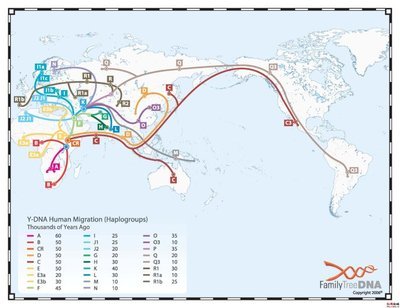 【网摘】分子人类学的人种分类 分子人类学