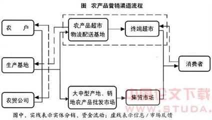 产品定位与营销策略 农产品营销策略