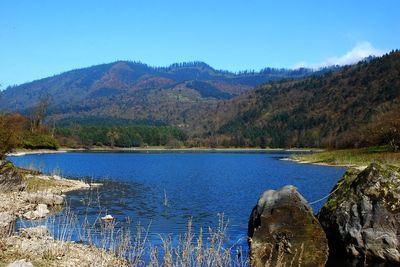 峨边黑竹沟之杜鹃池 峨边黑竹沟景区