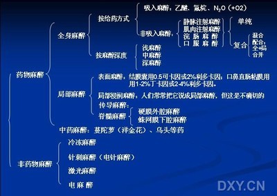 国内宠物麻醉现状、麻醉注意事项及急救 宠物麻醉药