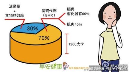 人有两个基础代谢率 基础代谢率最高的人群