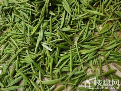 湖南十大名茶 毛新宇东莞事件