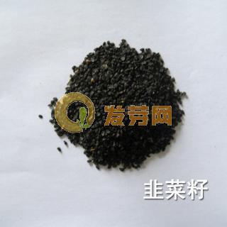 韭菜籽的药用：补肾之功