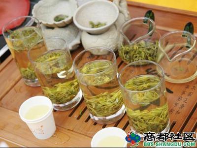 夏季喝什么茶好|女性夏季喝什么茶好 夏季适合喝什么茶