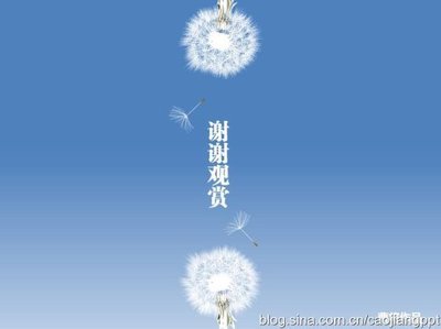 蒲公英PPT模板：花语的开场动画