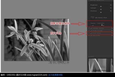 如何让网页变黑白 网页黑白滤镜