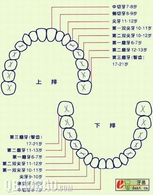 小孩换牙齿需要注意什么吗 开宝宝店需要多少钱