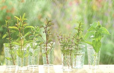 湖北高考零分作文 站在历史天空下的幻想——高考感怀七十二韵 历史天空下